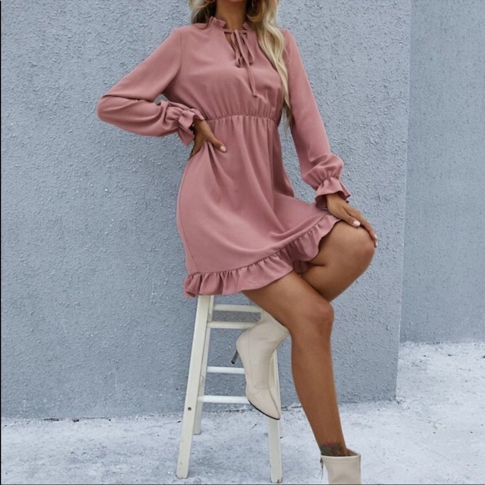 NWT long ruffle sleeve mini dress multiple sizes - Picture 4 of 5